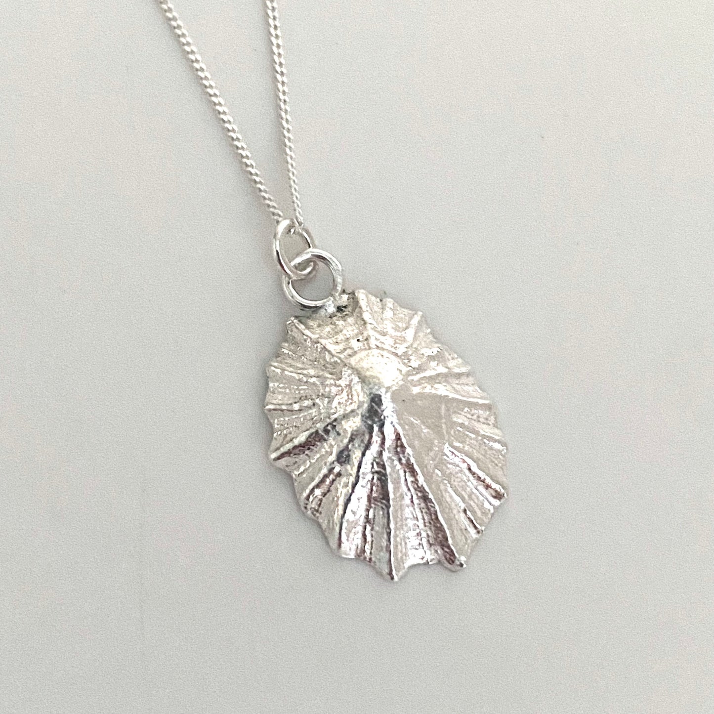 Limpet Shell Pendant