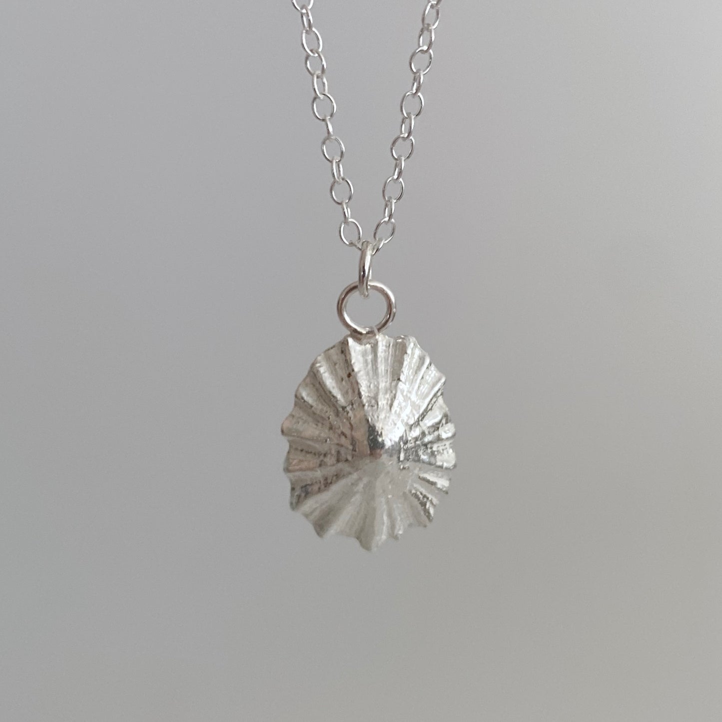 Cornish Limpet Pendant