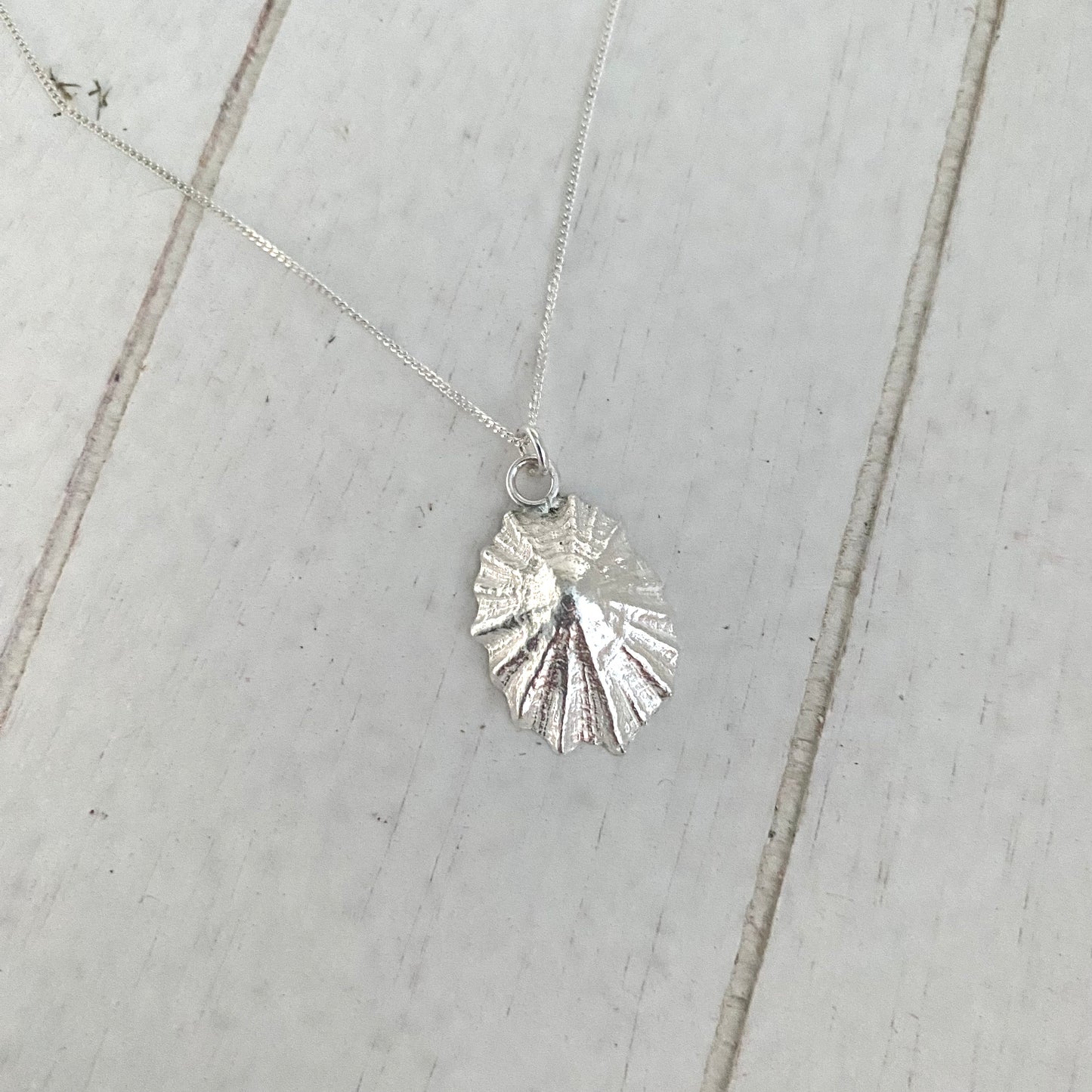 Limpet Shell Pendant