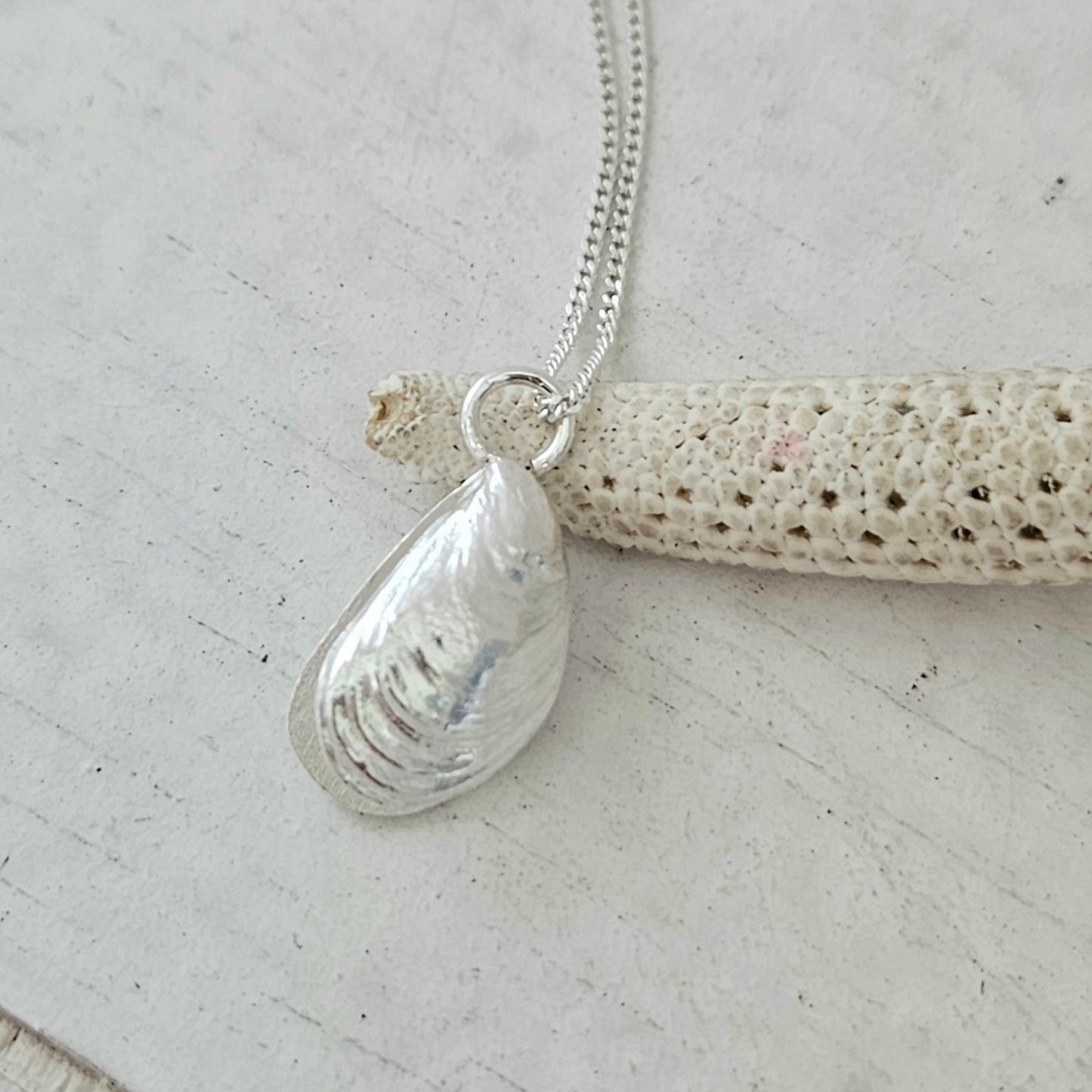 Small Double Mussel Shell Pendant