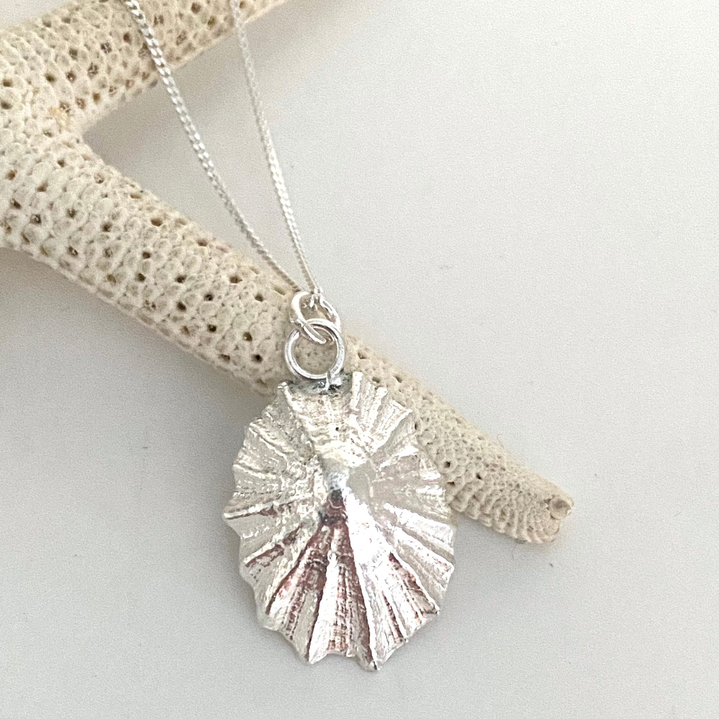 Limpet Shell Pendant