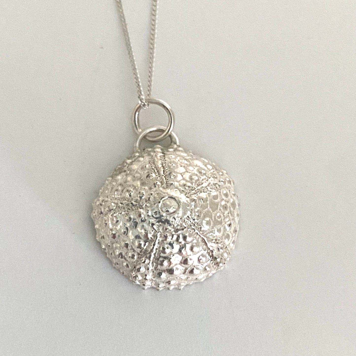 Sea Urchin Pendant