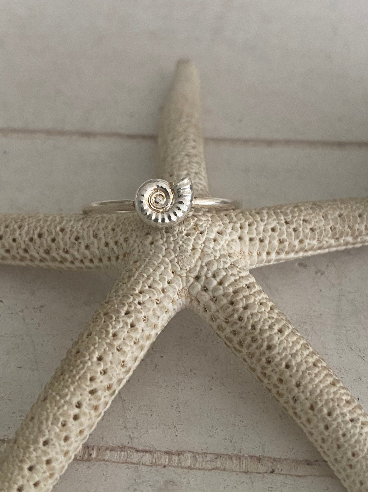 Ammonite Stacker Ring