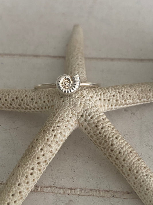 Ammonite Stacker Ring