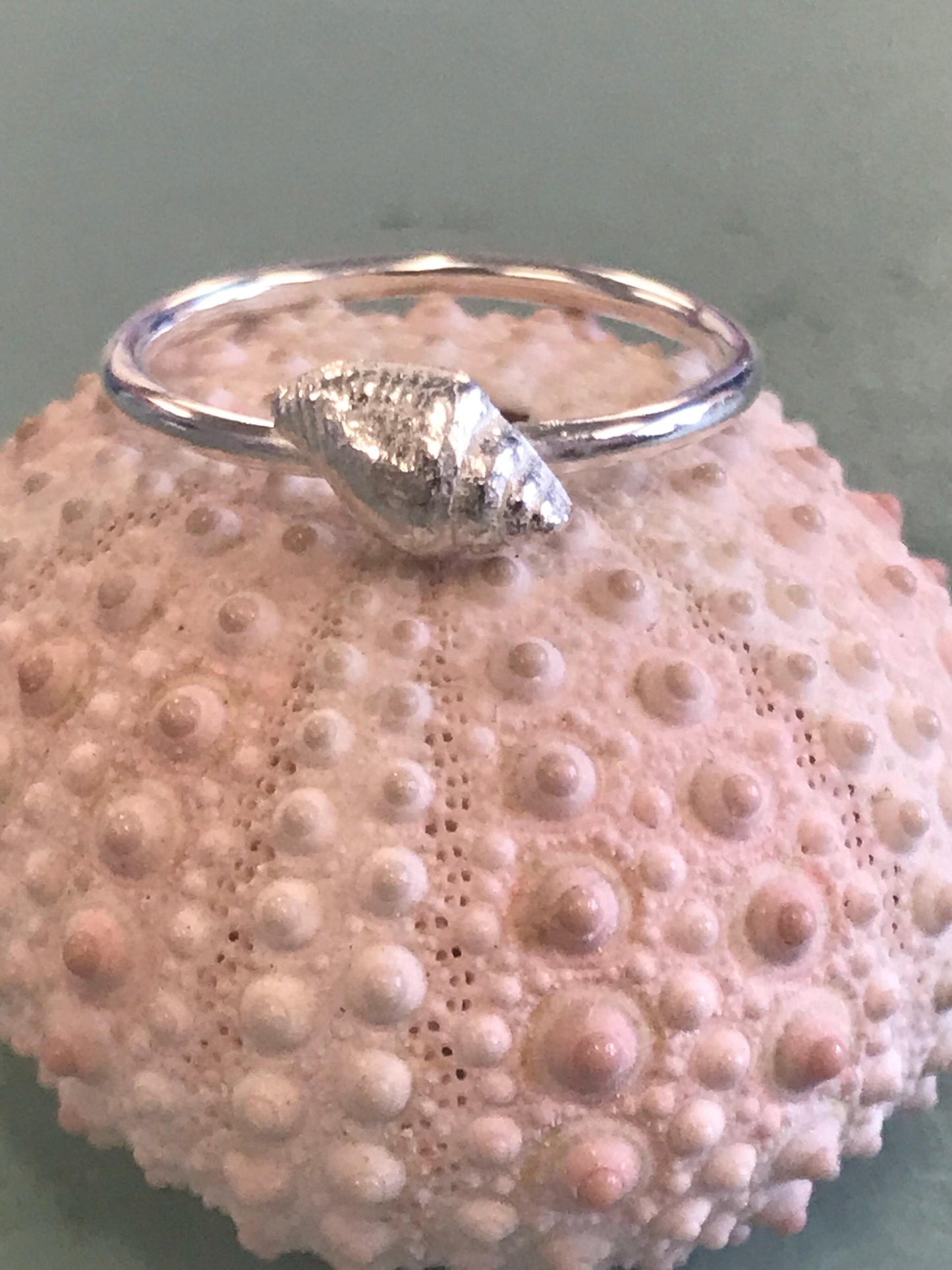 Sterling Silver, Shell Ring, Seashell, Beach Jewellery, Seaside Jewellery